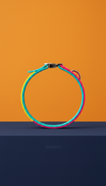 Collier pour chat aqua vif